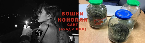 ПСИЛОЦИБИНОВЫЕ ГРИБЫ Арсеньев
