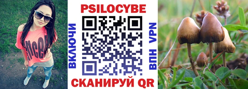 Псилоцибиновые грибы GOLDEN TEACHER  где купить   Советская Гавань 